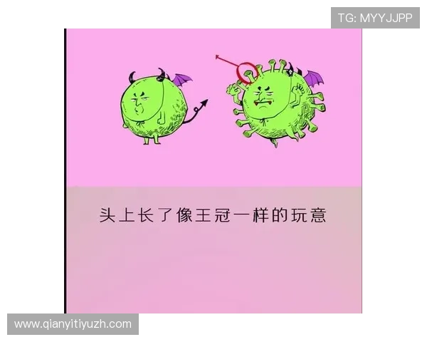 如何安全稳定地下载安装球友直播电脑版，避免病毒和软件冲突的实用技巧